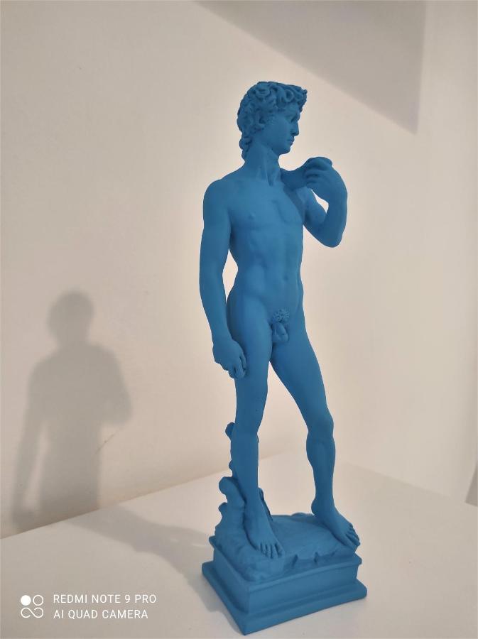 Dependace Il David Di Michelangelo Apartment Florence Luaran gambar